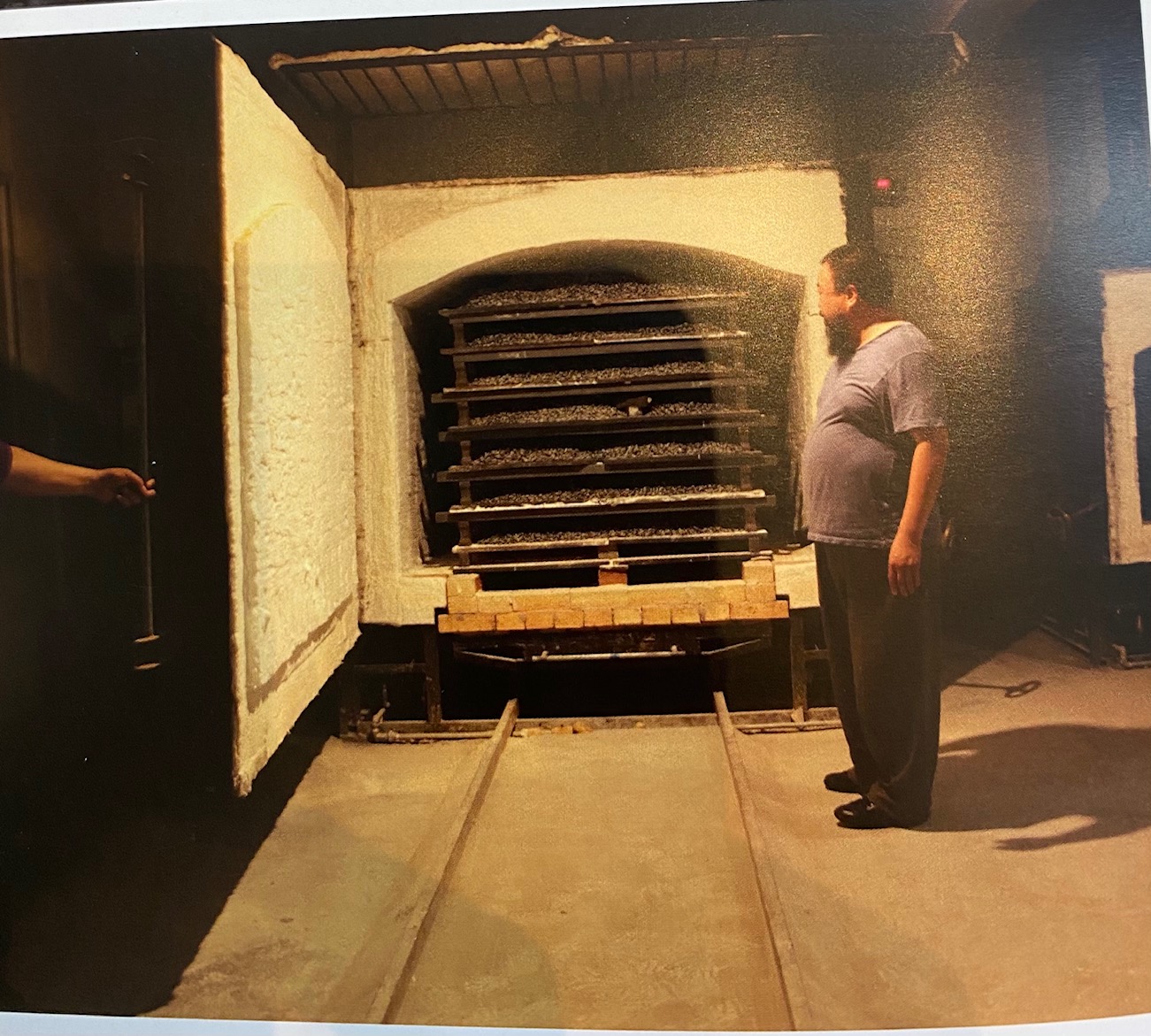 나비 로고 템플릿 벡터 그림 스톡 벡터(로열티 프리) 1463933852 | Shutterstock, image size:1301x1171